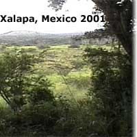 Xalapa, Mexico 2001